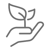 المساعدين الدائمين